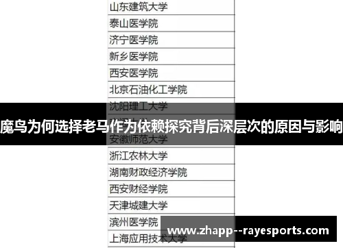 魔鸟为何选择老马作为依赖探究背后深层次的原因与影响 魔鸟为何选择老马作为依赖探究背后深层次的原因与影响